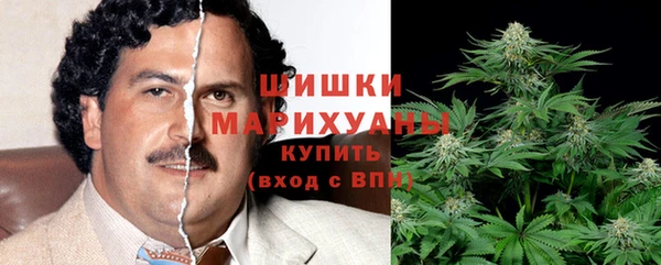 трава Алзамай