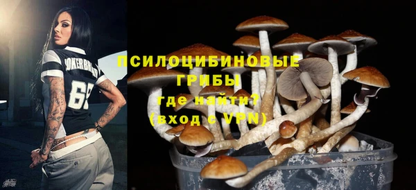 mix Алексин