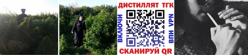 Дистиллят ТГК концентрат  как найти наркотики  Рассказово 